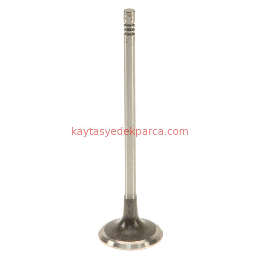 11347587470T-587470T-GNS-SİBOP GAYDI N13 TK.