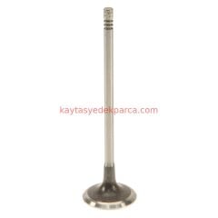 11347587470T-587470T-GNS-SİBOP GAYDI N13 TK.