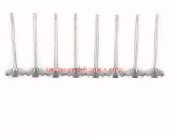 11341435462-1435462-TTK-SİBOP GAYDI N40/N42/N46