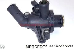 A6682030275-2030275-BHR-TERMOSTAT OM668