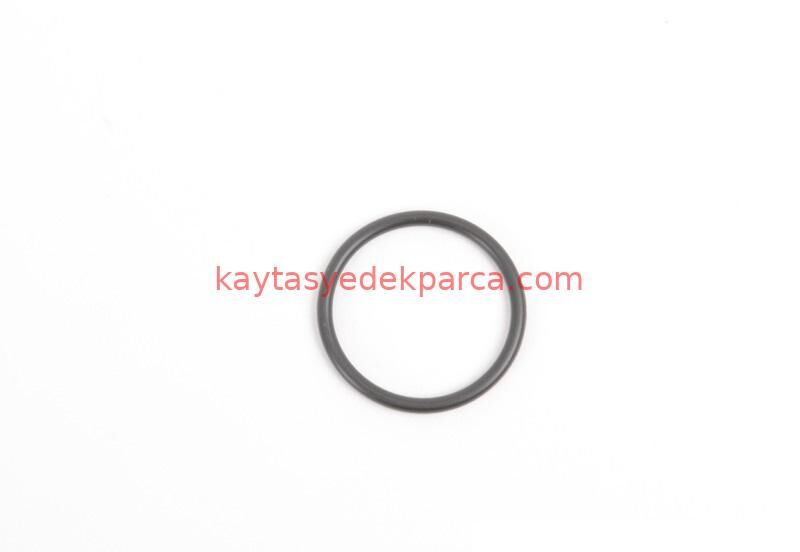 13537792722-7792722-BMW-ENJEKTÖR KEPİ