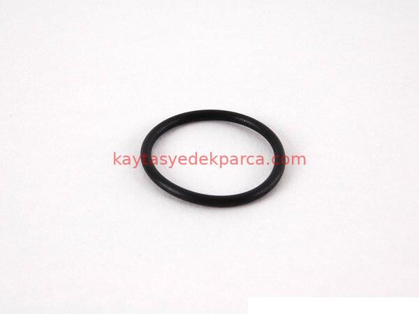 11422247302-2247302-B.W-TURBO YAĞ BORUSU
