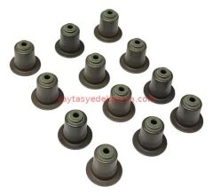 11340035888-0035888-ELR-SİBOP LASTİĞİ N43 SET