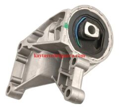 22316754426-6754426-B.W-ŞANZIMAN KULAĞI MİNİ COOPER