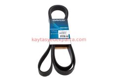 PQS500430-S500430-CNT-KAYIŞ V 8PK 1955 HD 3.6TDV8