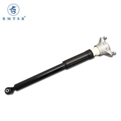 SHS-A2463201831-AMORTİSÖR, W246-117-176 ARKA