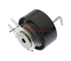 FW9Q6K254BA-6K254BA-GTS-KAYIŞ GERGİ RULMANI