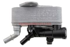 17217800408-7800408-ASP-ŞANZIMAN YAĞ SOĞUTUCU E71