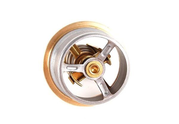 BMW-11531318274-11531318274-1318274-BMW-TERMOSTAT M3