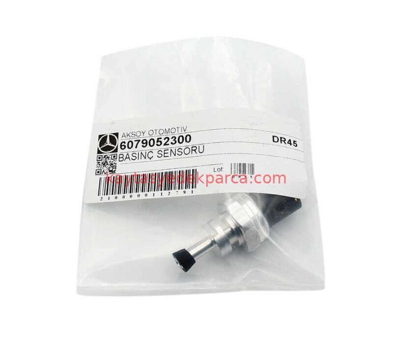 A6079052100-MER-YAĞ SEVİYE MÜŞÜRÜ, W246-176-