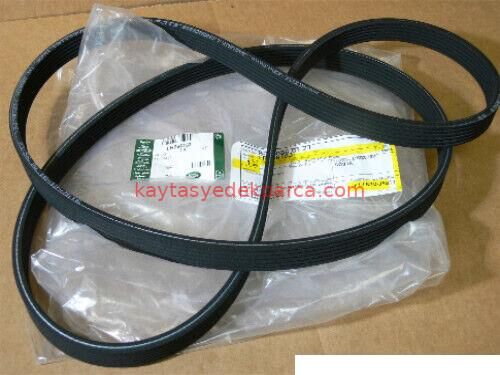 LR066153-R066153-DYK-V KAYIŞI