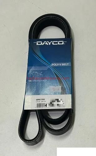 A0049930796-MER-V KAYIŞ