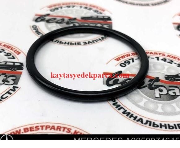 A0259974645-MER-TURBO BORU ORINGI