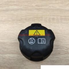 17117639024-7639024-BMW-RADYATÖR KAPAĞI