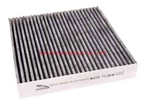 C2Z6525-C2Z6525-MAN-POLEN FİLTRESİ