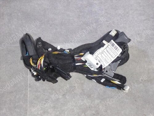 BMW-61129313618-KABLO TESİSATI KAPI ÖN SOL
