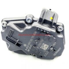 A6540900070-MER-GAZ KELEBEĞİ