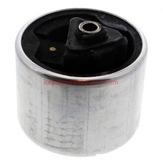 KQB000040-LND-ŞANZIMAN KULAĞI R.R