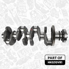 GMT-11217803479-KRANK  N47