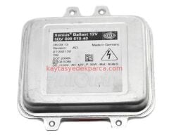 63117248050-7248050-WEN-XENON BEYNİ E70-W639