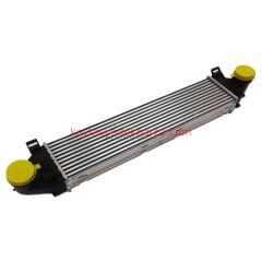 LR009802-NSS-İNTERCOOLER 2.2 TD4 LR2