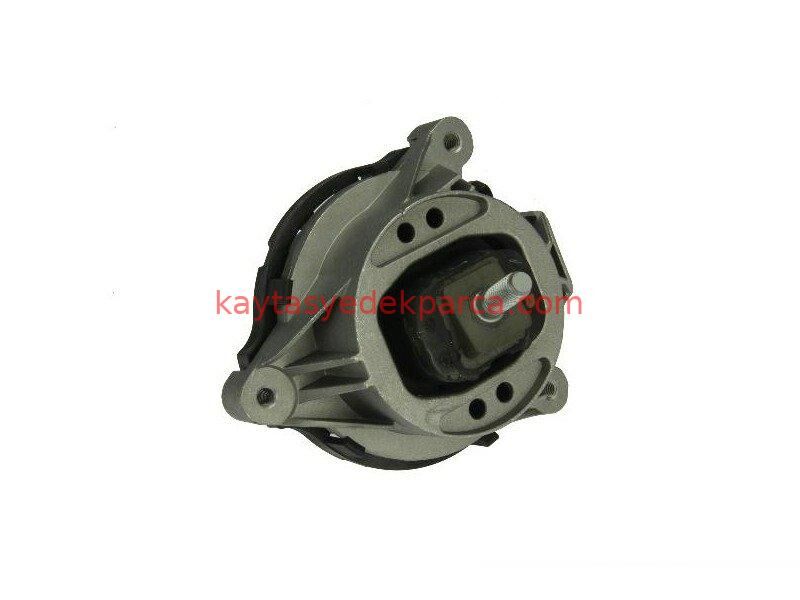 22116787659-6787659-LMF-MOTOR TAKOZU LASTİK SOL F20/F30 3,5