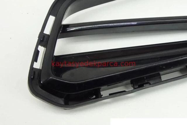 51118075333-8075333-BMW-SİS IZGARASI