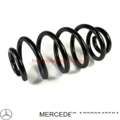 A6393240504-WEN-HELEZON YAYI, W639 ARKA 109-111-115