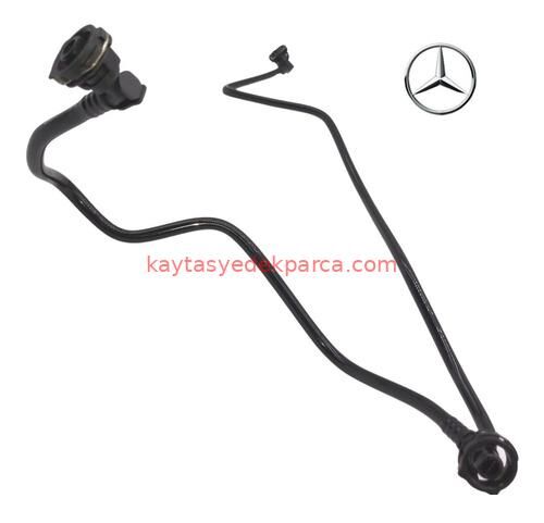 A2465010225-MER-HORTUM