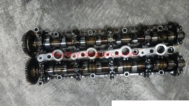 11318575435-8575435-KSS-EKSANTİK MİLİ EMME