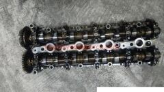 11318575435-8575435-KSS-EKSANTİK MİLİ EMME