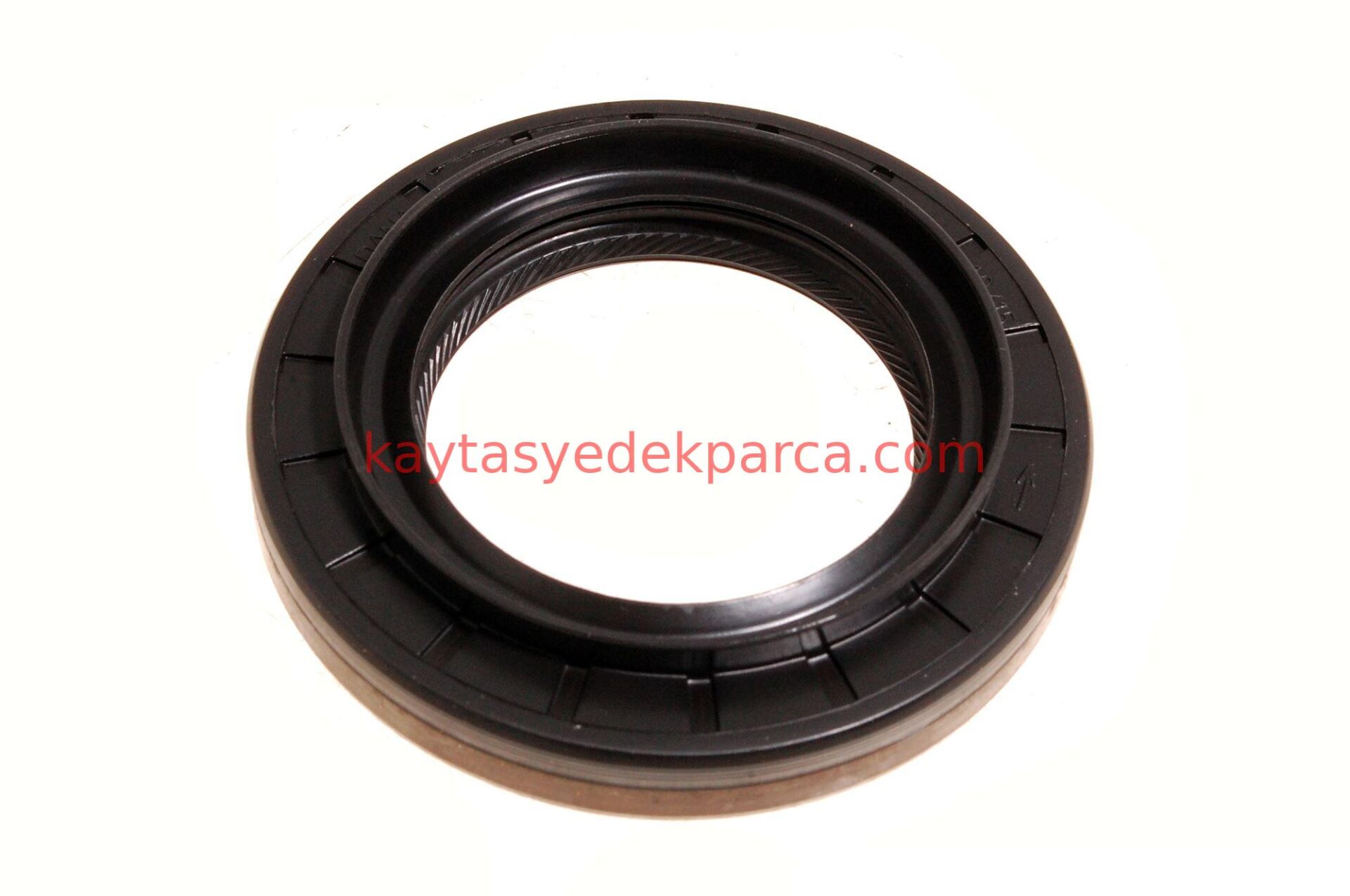 LR019019-LND-KEÇE ÖN DEFRANSİYEL