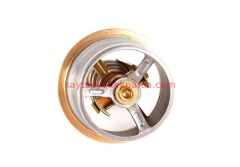 11531318274-1318274-BMW-TERMOSTAT M3