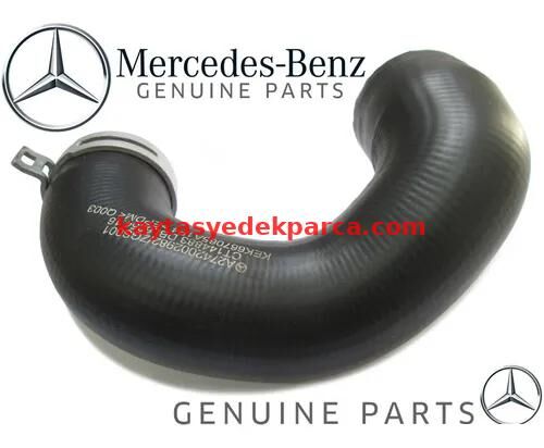 A2742002982-2002982-OEM-HORTUM