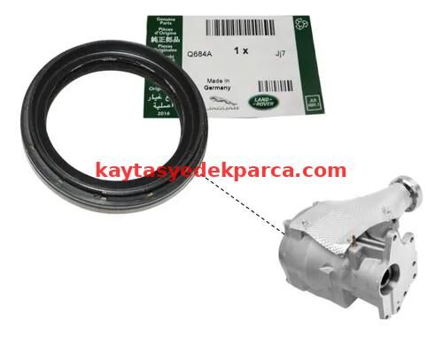 LR003153-LND-AKS KEÇESİ FRLL.2