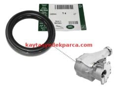 LR003153-LND-AKS KEÇESİ FRLL.2