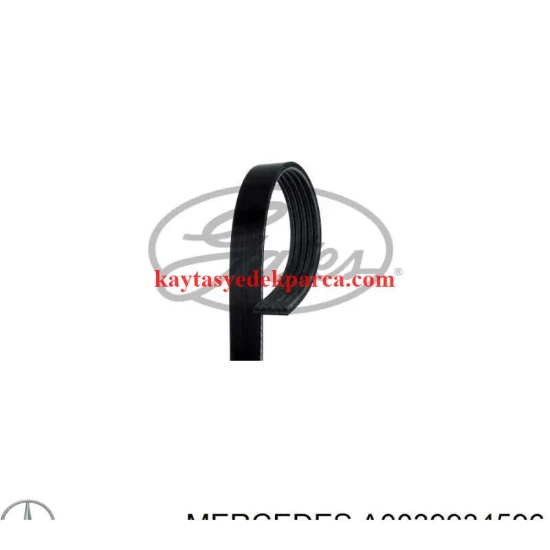 A0039934596-CNT-KAYIŞ