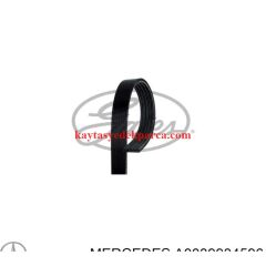 A0039934596-CNT-KAYIŞ