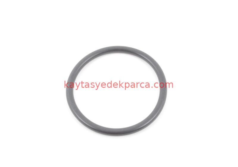 13522248729-2248729-İWS-EKSANTRİK ZİNCİRİ M57 ALT 68 BAKLA