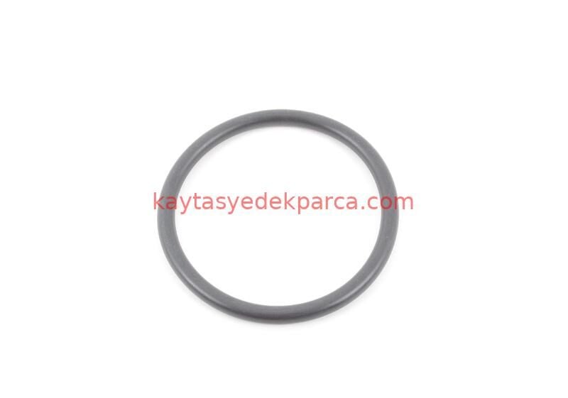 13522248729-2248729-İWS-EKSANTRİK ZİNCİRİ M57 ALT 68 BAKLA