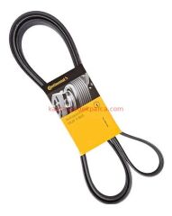 A0009936796-GTS-KAYIŞ