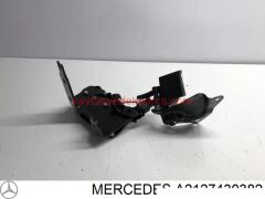 A2127430382-MER-BAGAJ NİKELAJI, W212