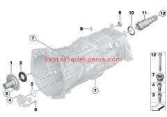 23118609207-8609207-BMW-KEÇE ŞANZIMAN ÖN