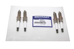 LR050998-LND-BUJİ R.R VELAR 3.0