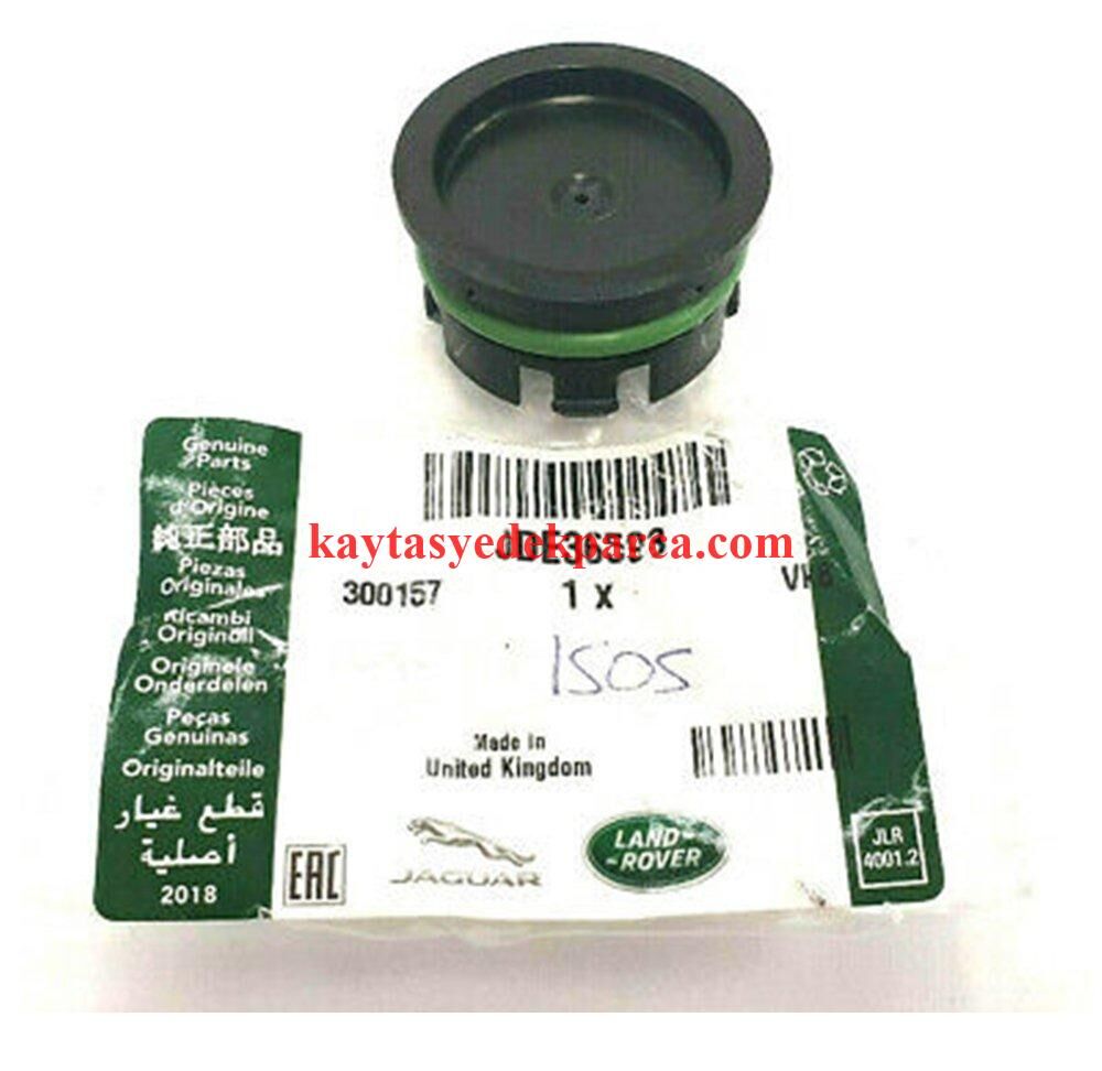 LR073795-LND-ARKA KAPAK TAPASI