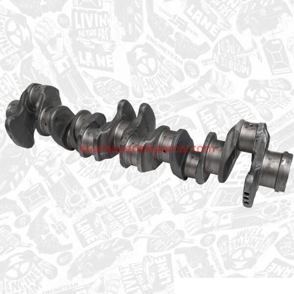 51021010673-1010673-BFT-KRANK