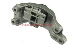 22326777389-6777389-LMF-ARAZİ ŞANZIMAN KULAĞI