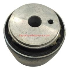 T4A11965-LMF-SALINCAK BURCU JAGUAR