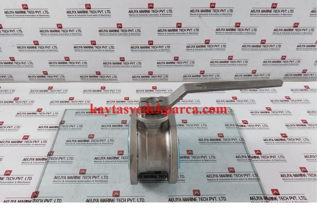 LR151886-LND-KAPUR MENTEŞESİ SAĞ