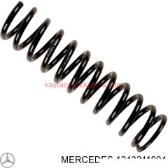 A1243211904-ASP-HELEZON YAYI, W124 ÖN